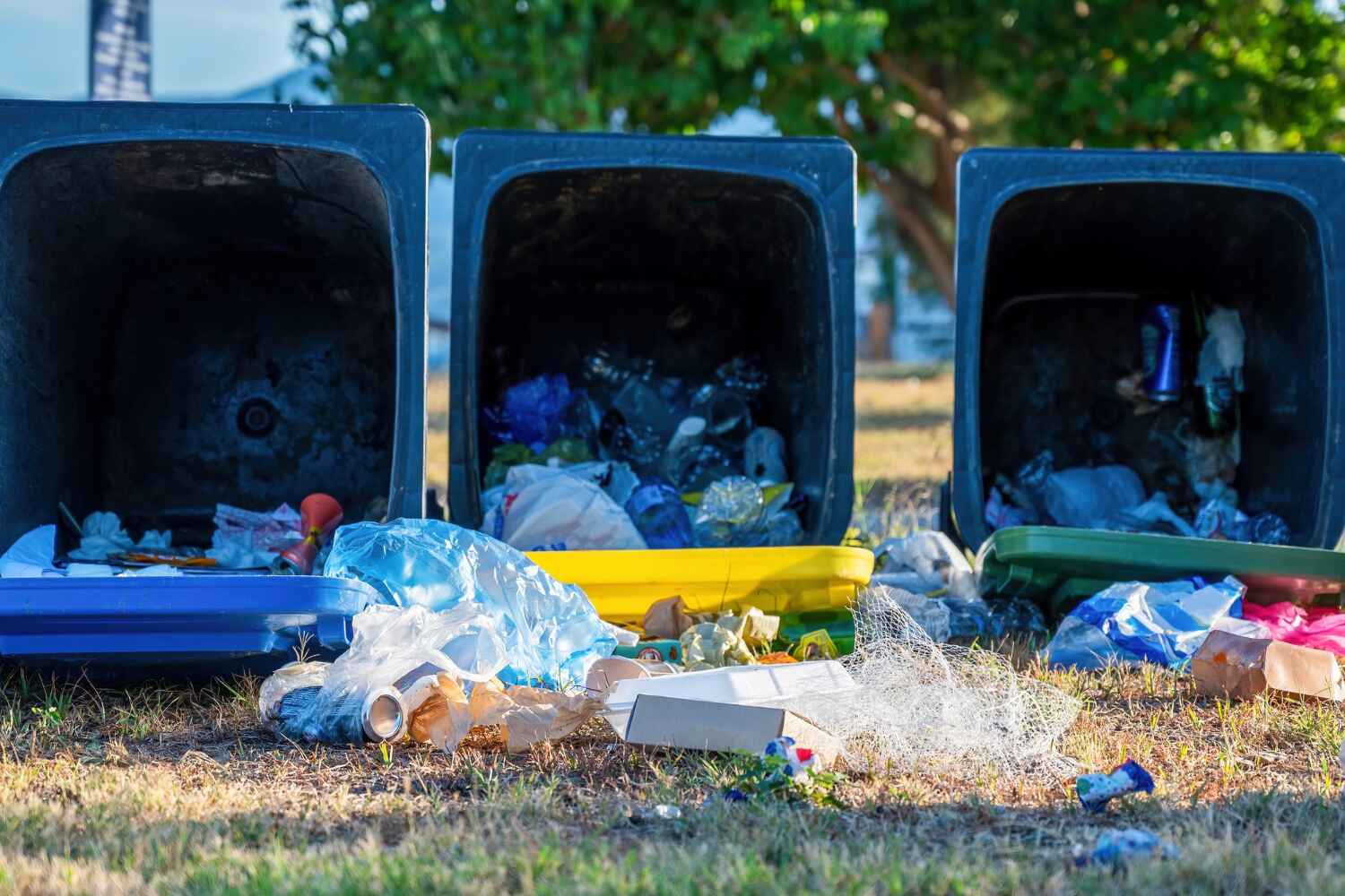 Frankfort, IL Junk Removal Company